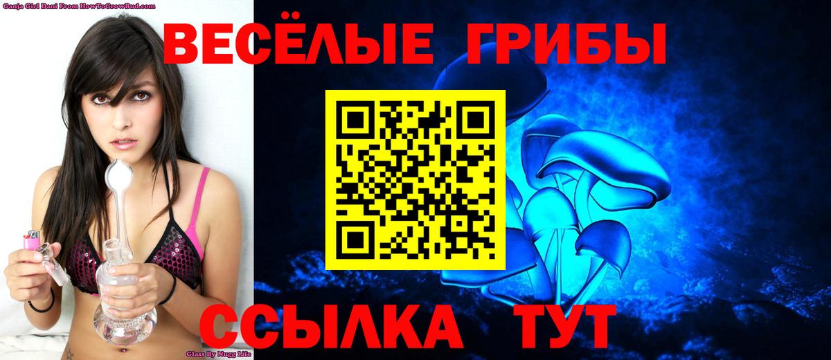 Алапаевск  Псилоцибиновые грибы прущие грибы  цена наркотик  Вход с VPN 